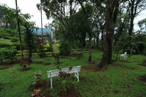 thumbnail: Garden view