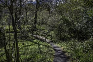 thumbnail: Property grounds