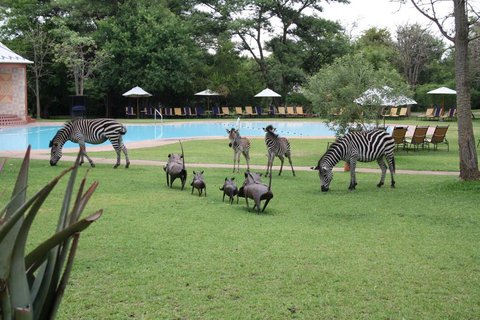 Cresta Golfview Recreation