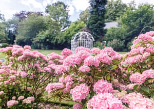 thumbnail: Garden
