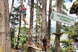thumbnail: Children's activities
