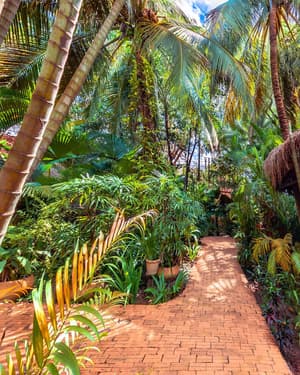 thumbnail: Garden view