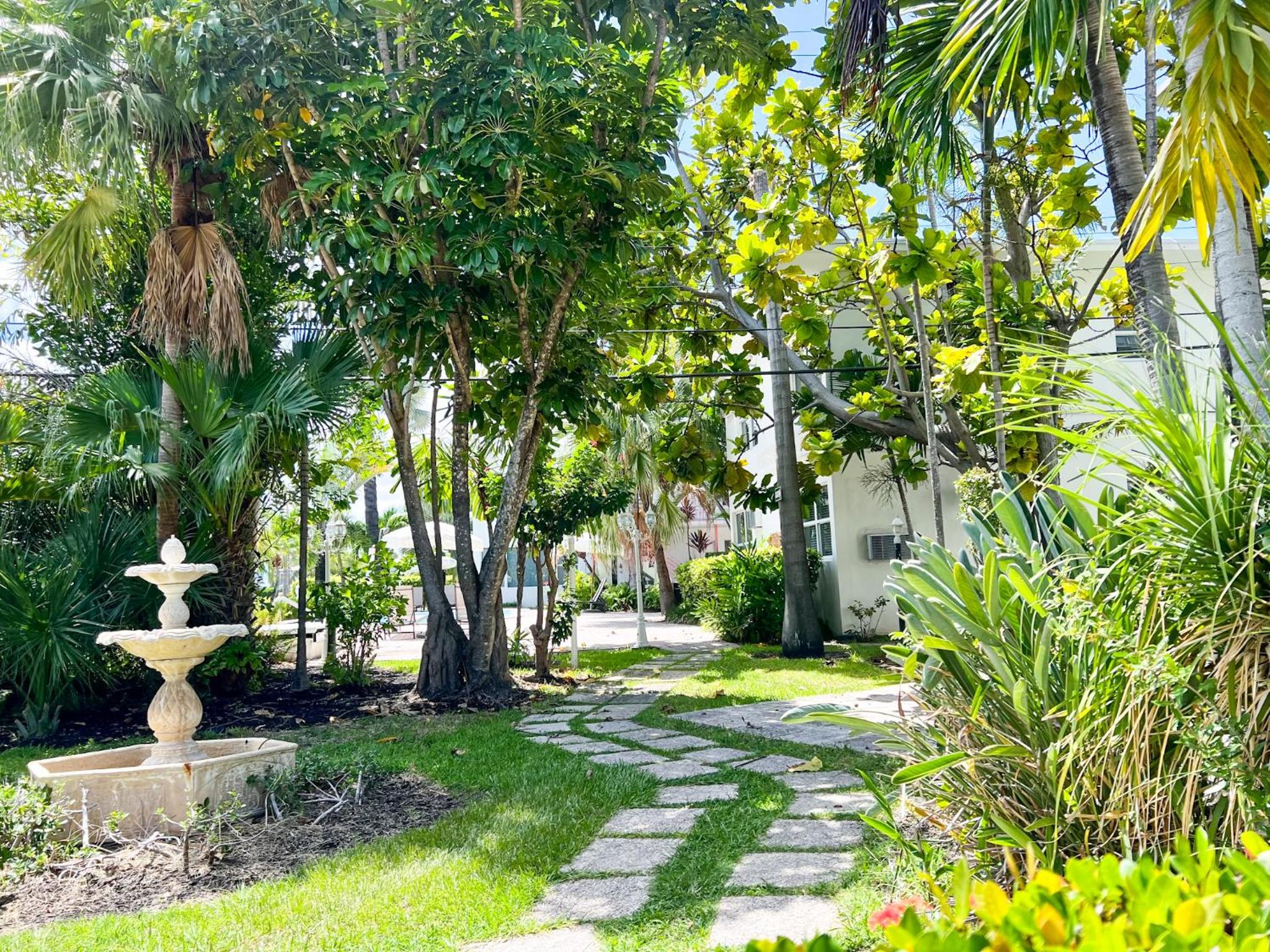 Surroundings