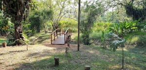 thumbnail: Property grounds