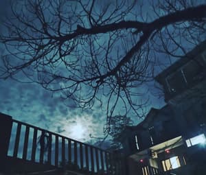 thumbnail: Front of property - evening/night