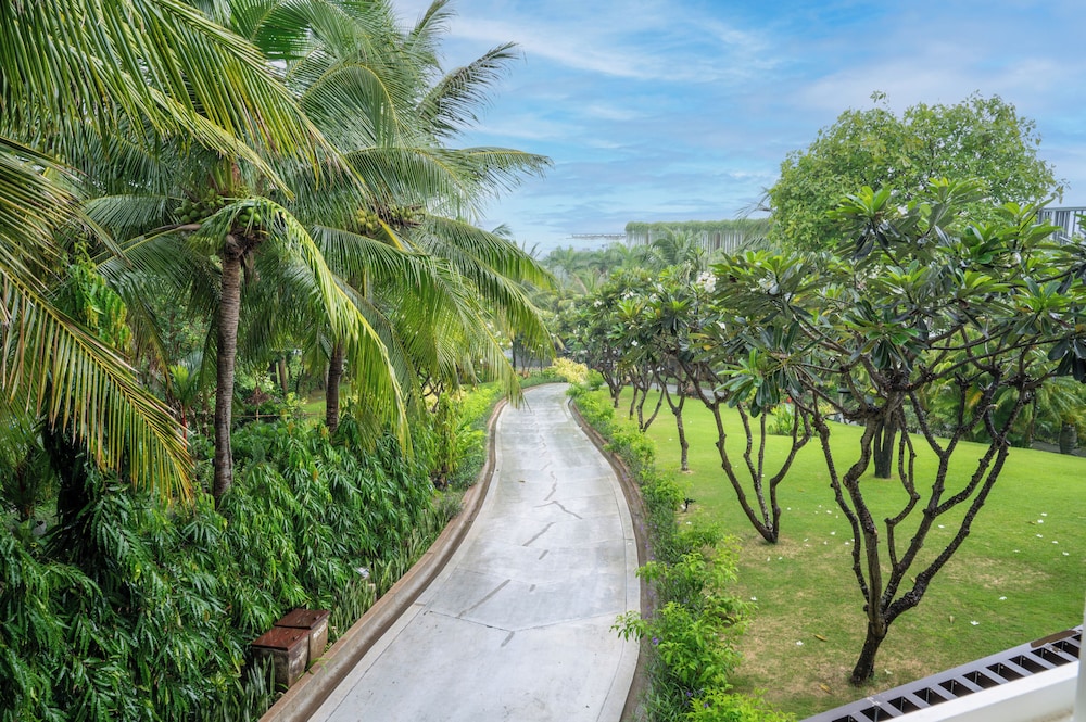 Garden view