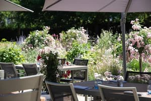 thumbnail: Garden