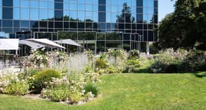 thumbnail: Garden