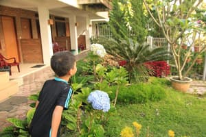 thumbnail: Property grounds