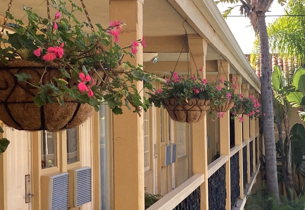 Courtyard view