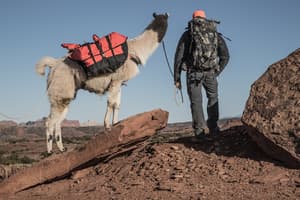 thumbnail: Hiking