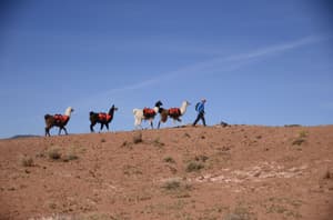 thumbnail: Hiking