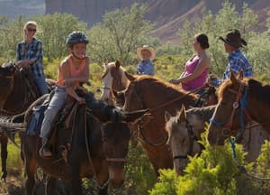 thumbnail: Horseback riding