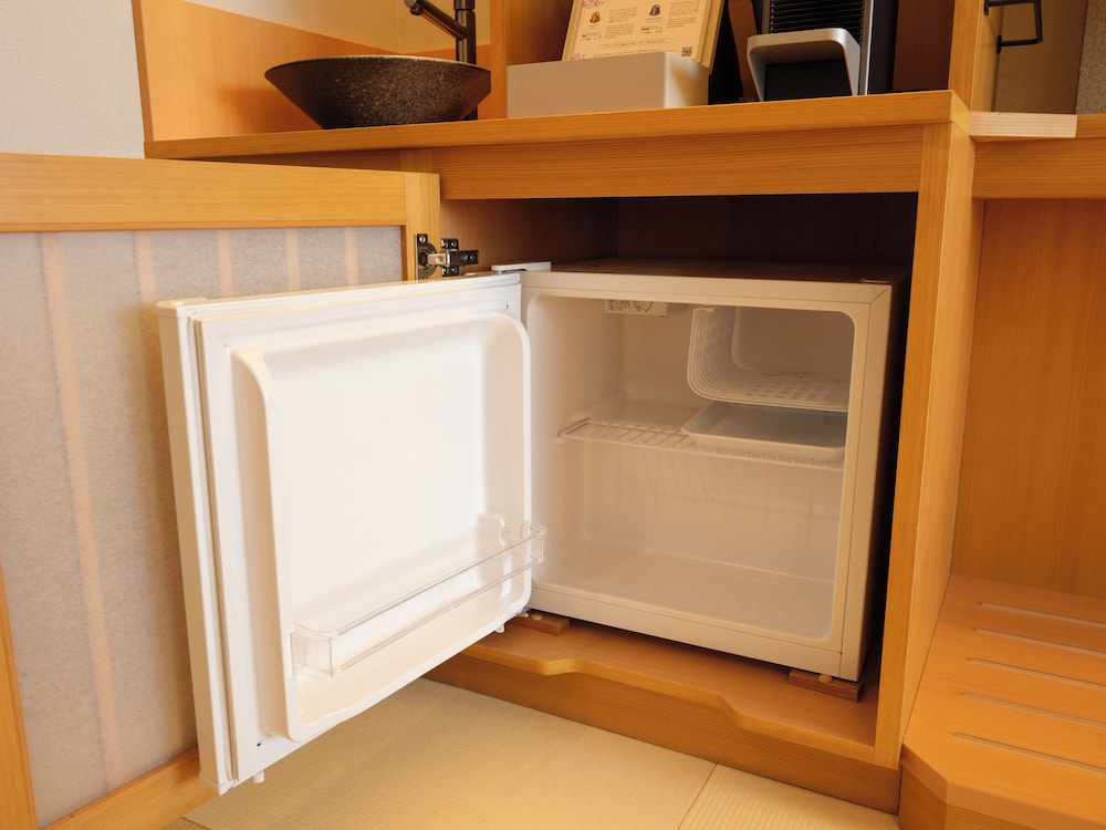 Mini-refrigerator