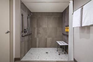 thumbnail: Accessible bathroom
