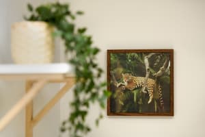 thumbnail: Interior detail