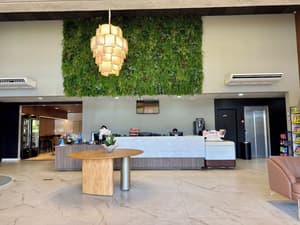 thumbnail: Reception