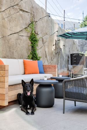 thumbnail: Terrace/patio
