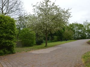 thumbnail: Exterior