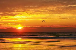 thumbnail: Beach