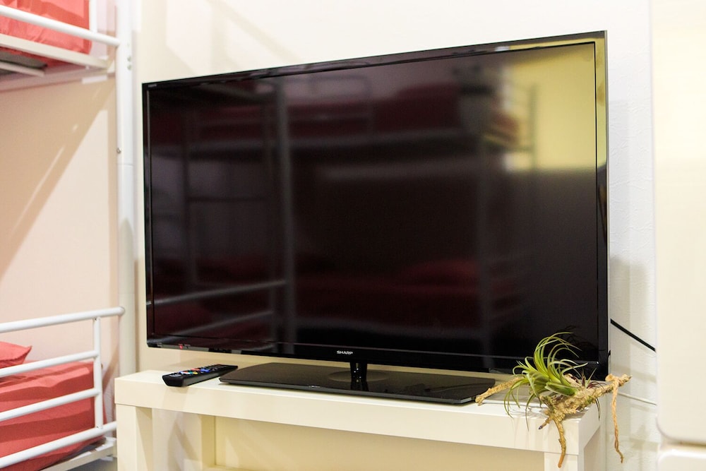 Television