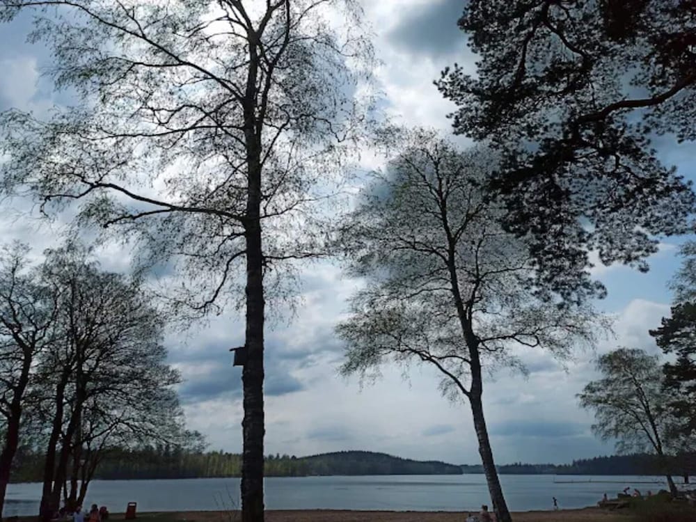 Water view