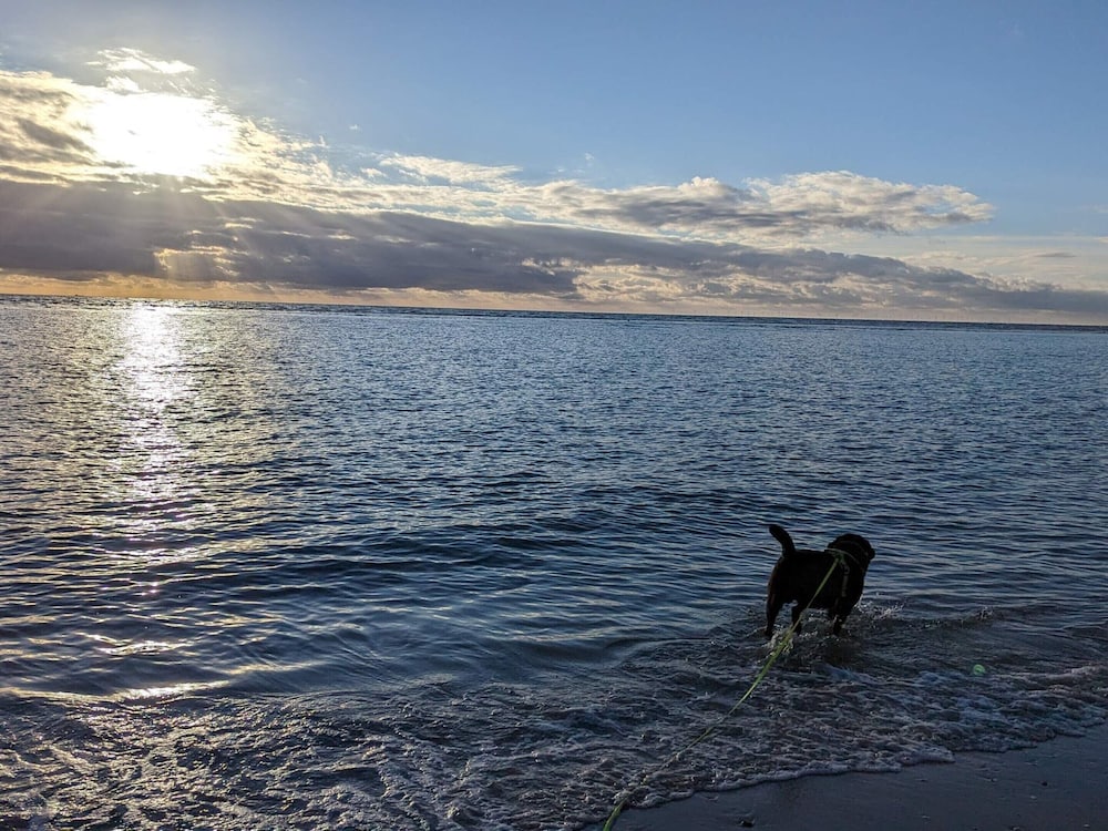 Water view