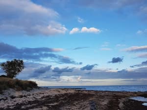 thumbnail: Water view