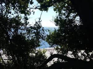 thumbnail: Water view