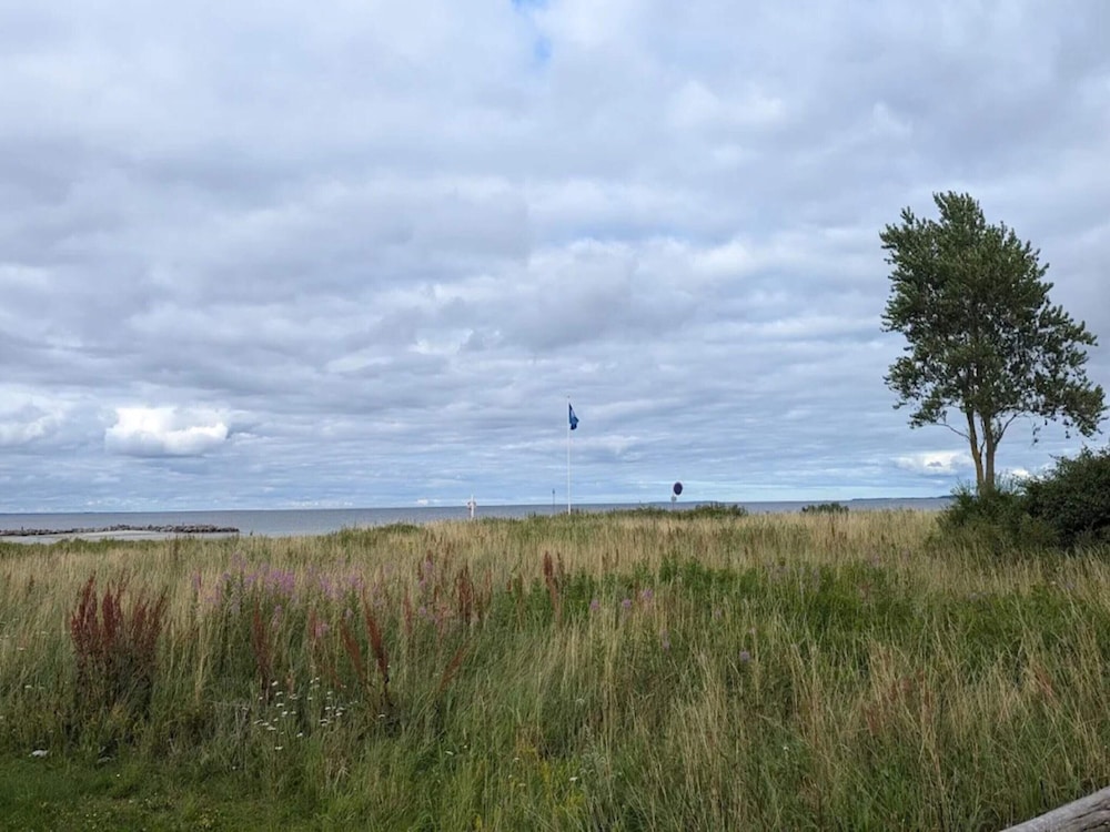 Water view
