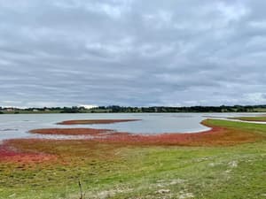 thumbnail: Water view