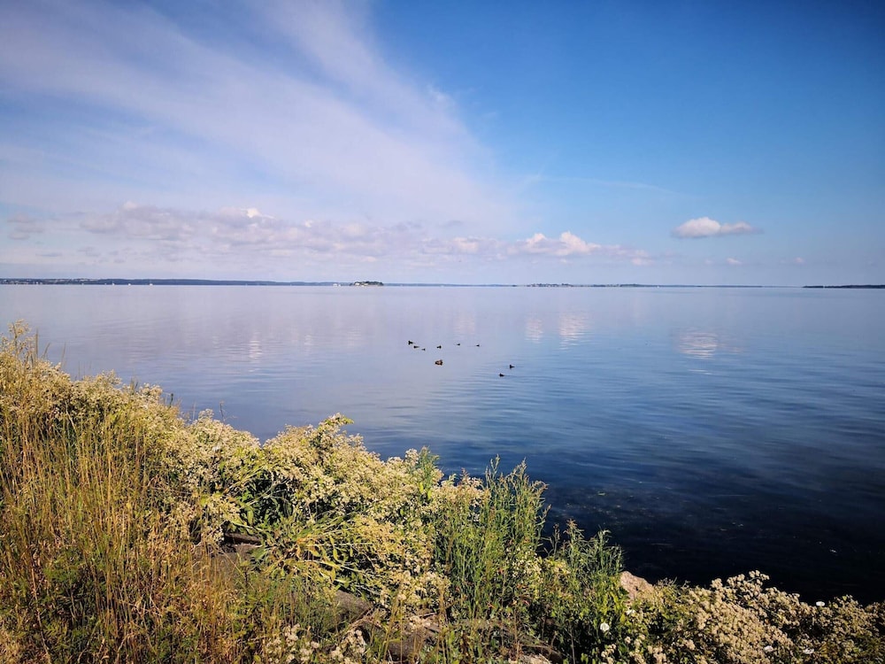 Water view