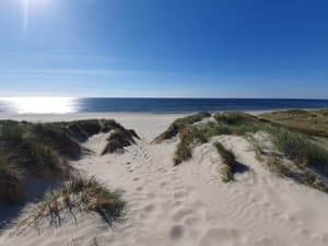 thumbnail: Beach
