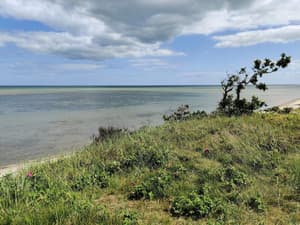 thumbnail: Water view