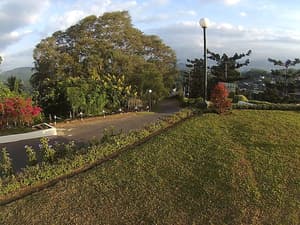 thumbnail: Garden