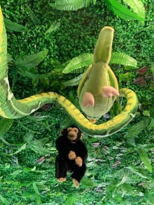 thumbnail: 372229735.jpg