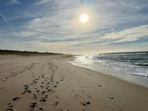 thumbnail: Water view