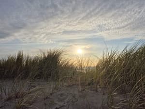 thumbnail: Beach