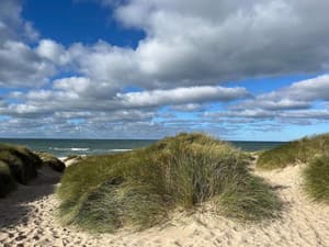 thumbnail: Beach