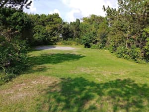 thumbnail: Property grounds