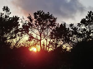 thumbnail: Miscellaneous