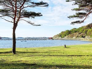 thumbnail: View from property
