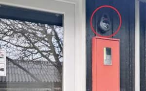 thumbnail: Exterior detail