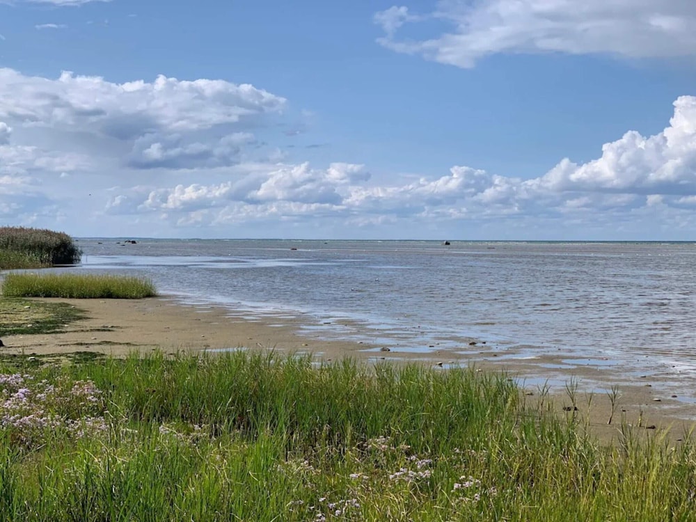 Water view