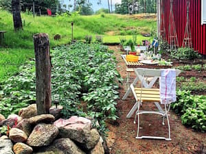 thumbnail: Terrace/patio