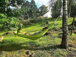 thumbnail: Property grounds
