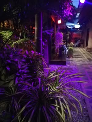 thumbnail: Terrace/patio