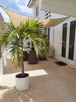 thumbnail: Terrace/patio
