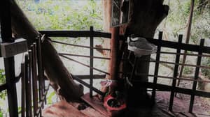 thumbnail: Terrace/patio