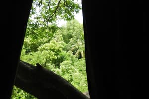 thumbnail: View from room